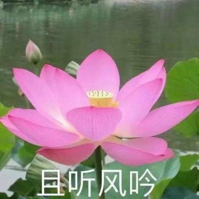 星空体育官方网站手机app下载